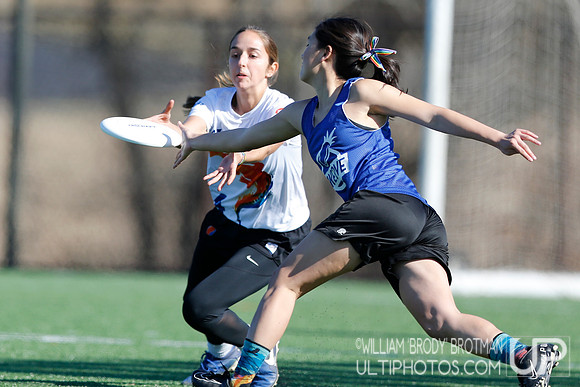 Day 1 of Commonwealth Cup.