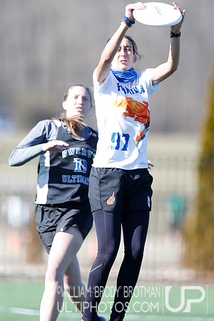 Day 1 of Commonwealth Cup.