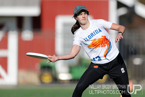 Day 1 of Commonwealth Cup.