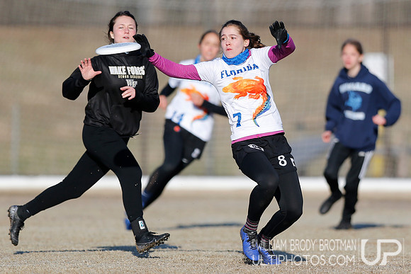 Day 2 of Commonwealth Cup.