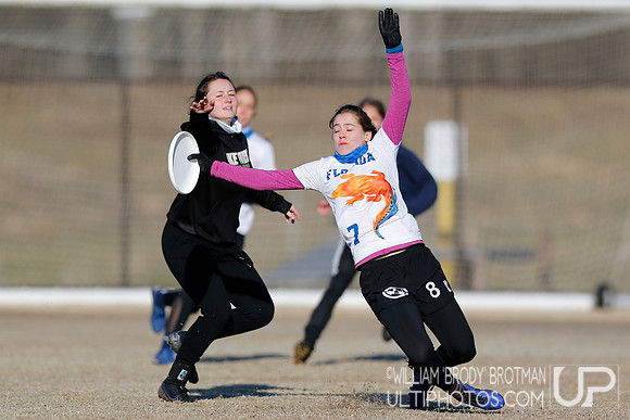 Day 2 of Commonwealth Cup.