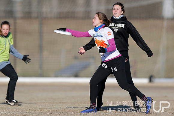 Day 2 of Commonwealth Cup.