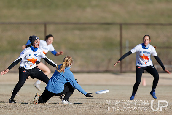 Day 2 of Commonwealth Cup.