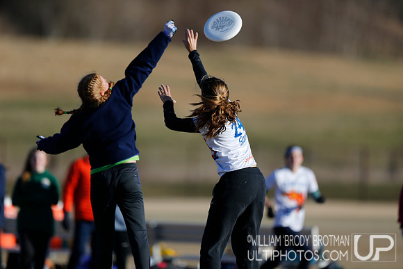Day 2 of Commonwealth Cup.