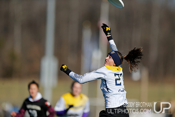 Day 2 of Commonwealth Cup.