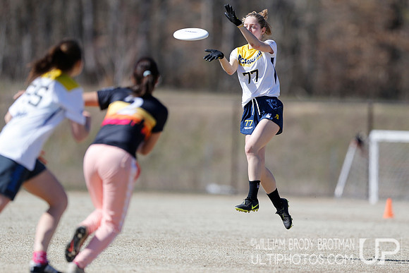 Day 2 of Commonwealth Cup.