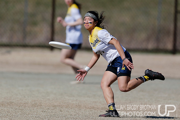 Day 2 of Commonwealth Cup.