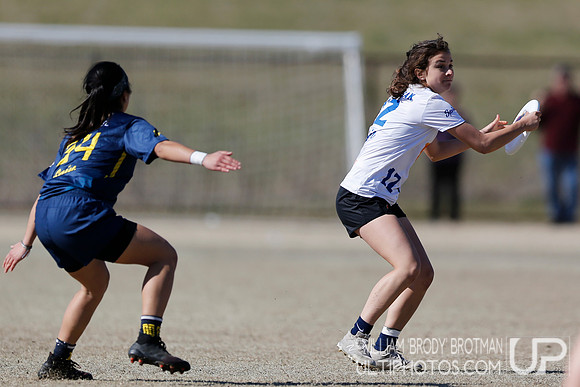 Day 2 of Commonwealth Cup.
