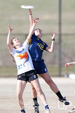 Day 2 of Commonwealth Cup.