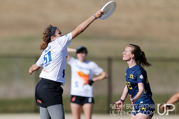 Day 2 of Commonwealth Cup.