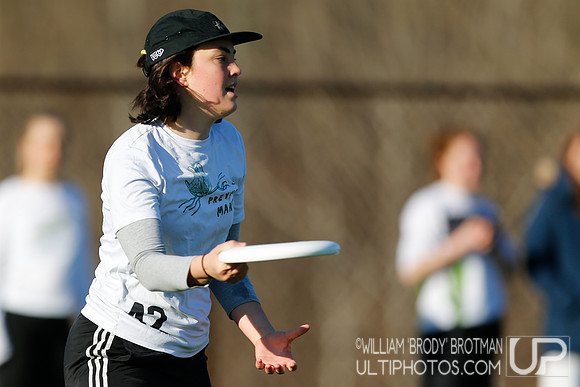 Day 1 of Commonwealth Cup.