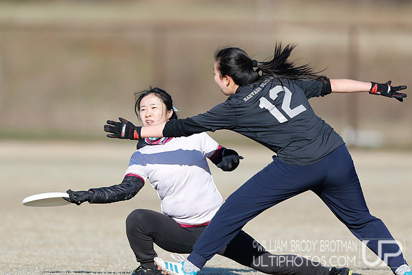 Day 1 of Commonwealth Cup.