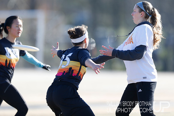 Day 1 of Commonwealth Cup.