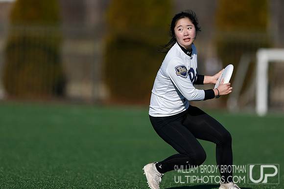 Day 1 of Commonwealth Cup.