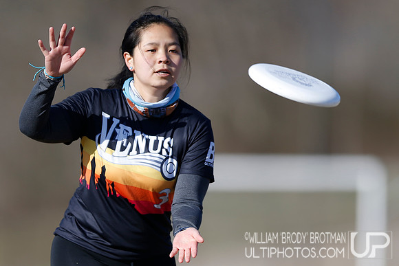 Day 1 of Commonwealth Cup.