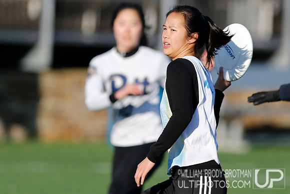 Day 2 of Commonwealth Cup.