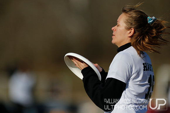 Day 1 of Commonwealth Cup.