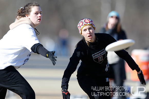 Day 1 of Commonwealth Cup.