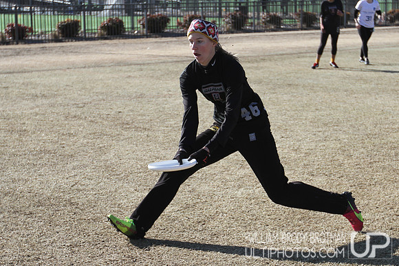 Day 1 of Commonwealth Cup.