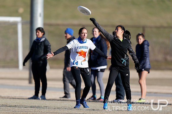 Day 2 of Commonwealth Cup.