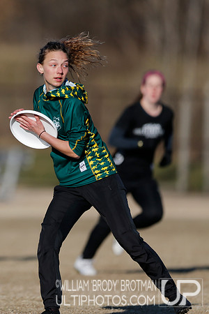 Day 2 of Commonwealth Cup.