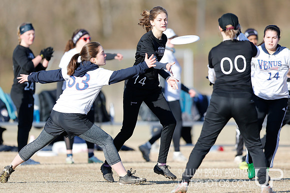 Day 2 of Commonwealth Cup.