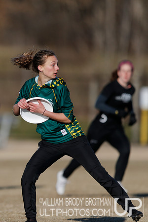 Day 2 of Commonwealth Cup.