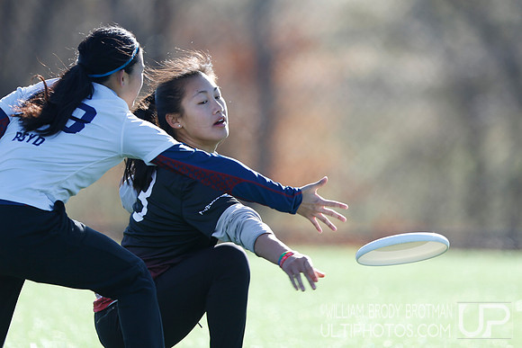 Day 1 of Commonwealth Cup.