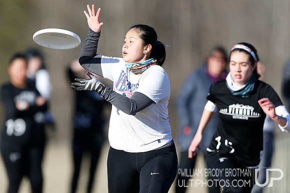 Day 2 of Commonwealth Cup.