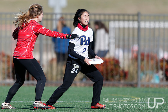 Day 1 of Commonwealth Cup.