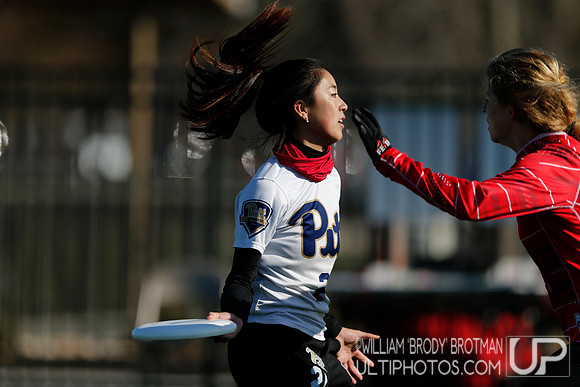Day 1 of Commonwealth Cup.