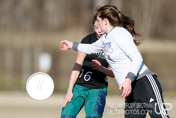 Day 2 of Commonwealth Cup.
