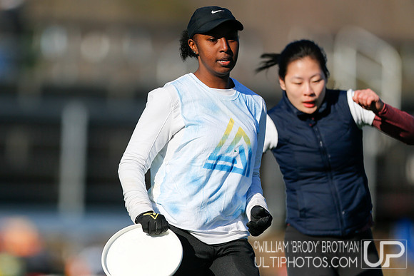 Day 2 of Commonwealth Cup.
