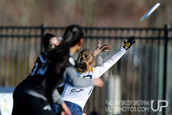 Day 2 of Commonwealth Cup.