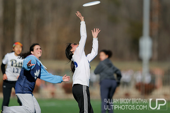Day 2 of Commonwealth Cup.