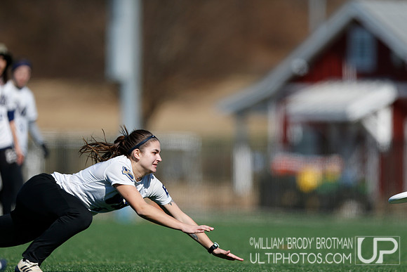 Day 1 of Commonwealth Cup.