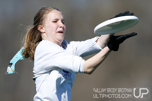 Day 1 of Commonwealth Cup.