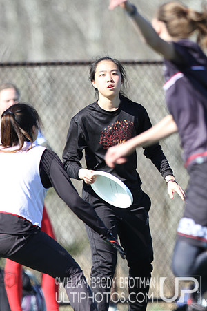 Day 2 of Commonwealth Cup.