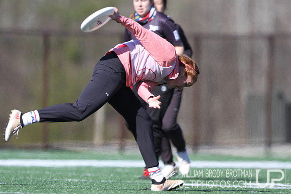 Day 2 of Commonwealth Cup.