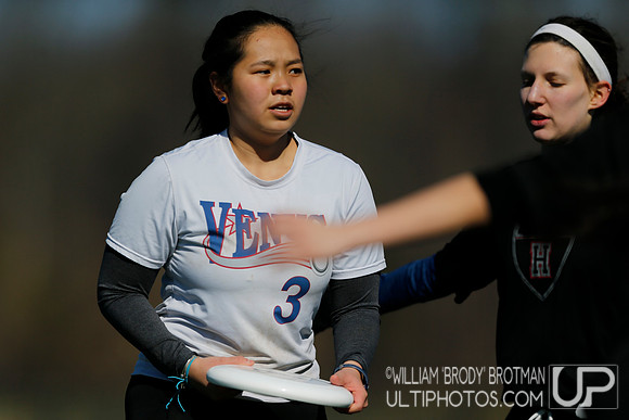 Day 1 of Commonwealth Cup.