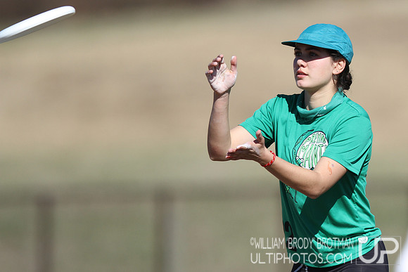 Day 2 of Commonwealth Cup.