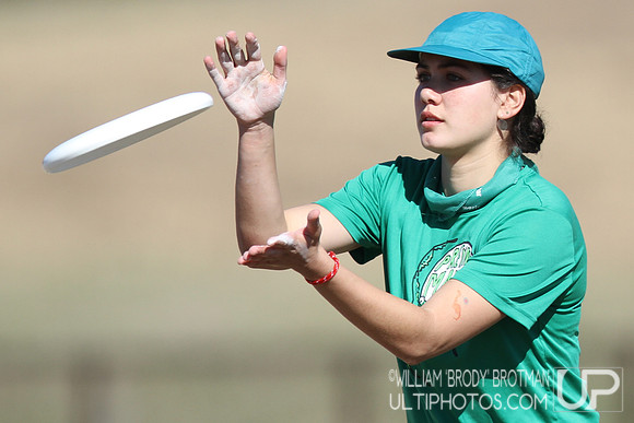 Day 2 of Commonwealth Cup.