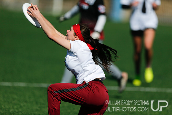 Day 1 of Commonwealth Cup.