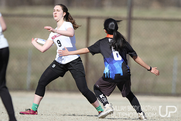 Day 2 of Commonwealth Cup.