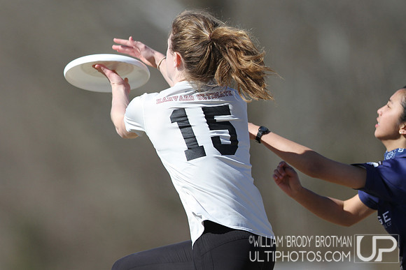 Day 2 of Commonwealth Cup.