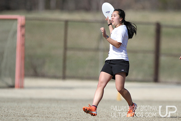 Day 2 of Commonwealth Cup.