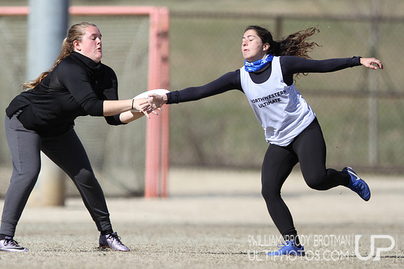 Day 2 of Commonwealth Cup.