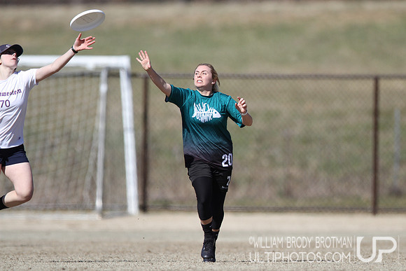 Day 2 of Commonwealth Cup.
