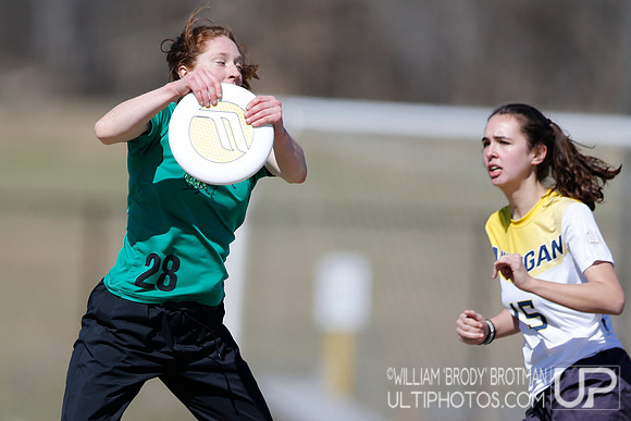 Day 1 of Commonwealth Cup.