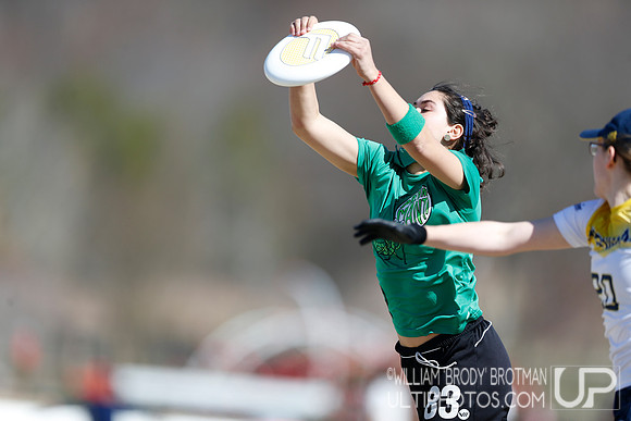 Day 1 of Commonwealth Cup.
